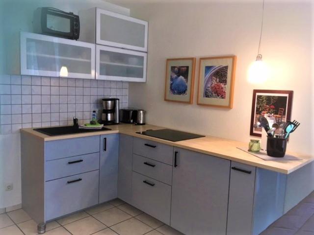 דירות Ziemitz Haus Carmen Auf Usedom Nr.6 מראה חיצוני תמונה